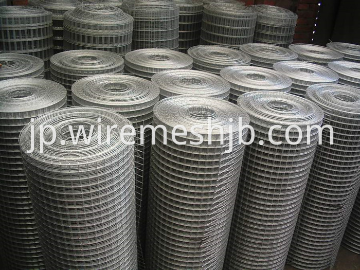 Galvanized Welded Wire Mesh 